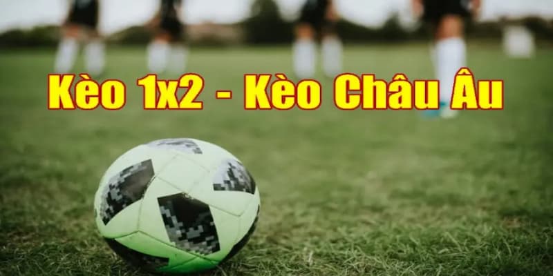 Cách soi kèo Châu Âu hiệu quả
